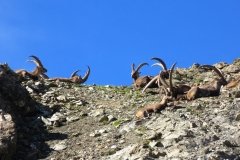 IMG_0579