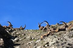 IMG_0583