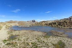 IMG_0591