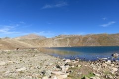 IMG_0601