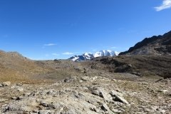 IMG_0615