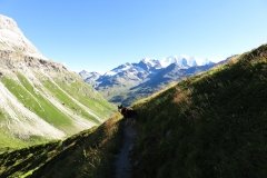 IMG_0666