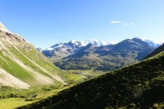 IMG_0668
