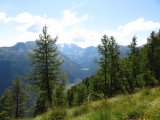 img_0042