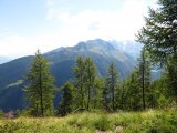 img_0045