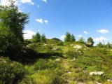 img_0050