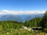 img_0054