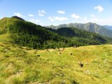 img_0058