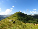 img_0061