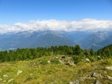 img_0088