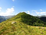 img_0094