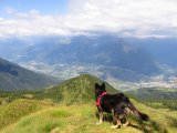 img_0262