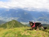 img_0267