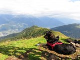 img_0271