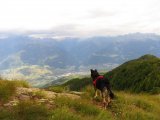img_0341
