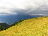 img_0350