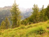 img_0354