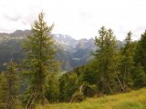 img_0356