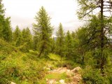 img_0361