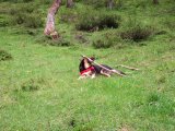 img_0364