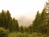 img_0371