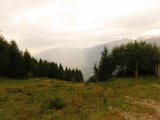 img_0375