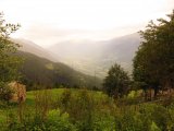 img_0378