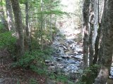 IMG_0002