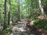 IMG_0004