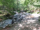 IMG_0007