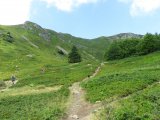 IMG_0009