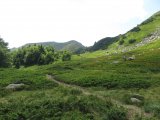 IMG_0010