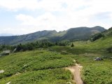 IMG_0019