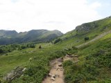 IMG_0027