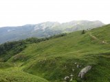 IMG_0031
