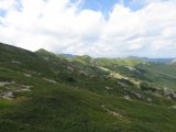 IMG_0042