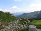 IMG_0049