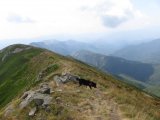 IMG_0124