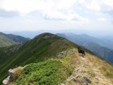 IMG_0125