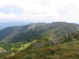 IMG_0139