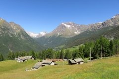 IMG_0002