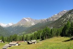 IMG_0005