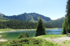 IMG_0008