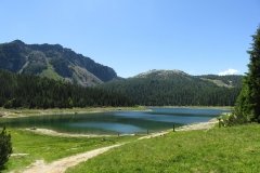 IMG_0013