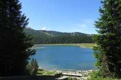 IMG_0017
