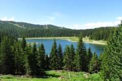 IMG_0020
