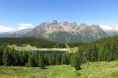 IMG_0029