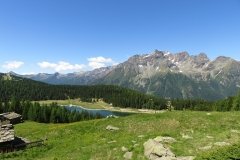 IMG_0041