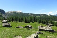 IMG_0043
