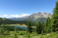 IMG_0045